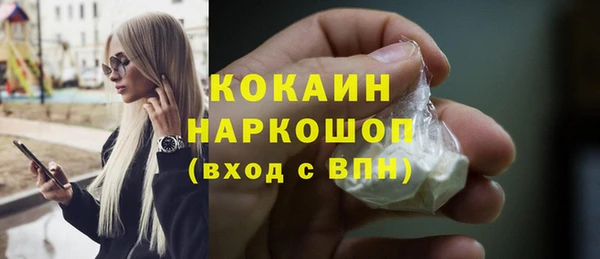 тгк Алексин