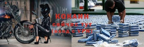 тгк Алексин