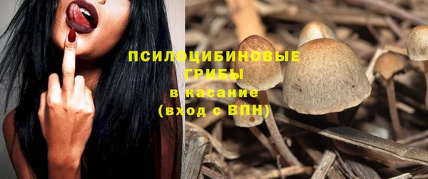 бутират Алзамай