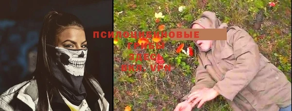 тгк Алексин